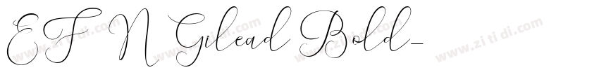 EFN Gilead Bold字体转换
